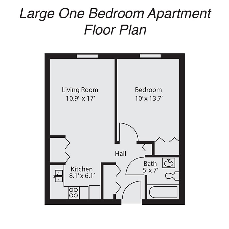 Large One Bedroom Apartment